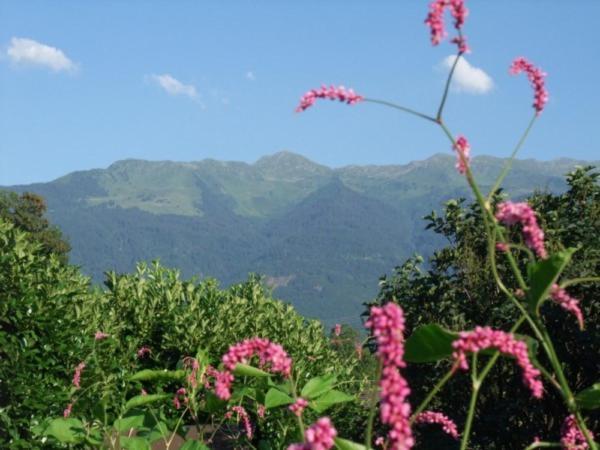Le Domaine Du Grand Cellier Gites Appartement En Savoie Tournon Ngoại thất bức ảnh